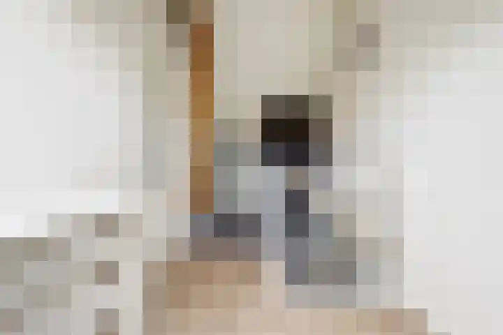 Finlandstraat 13 De Lier thumbnail 30