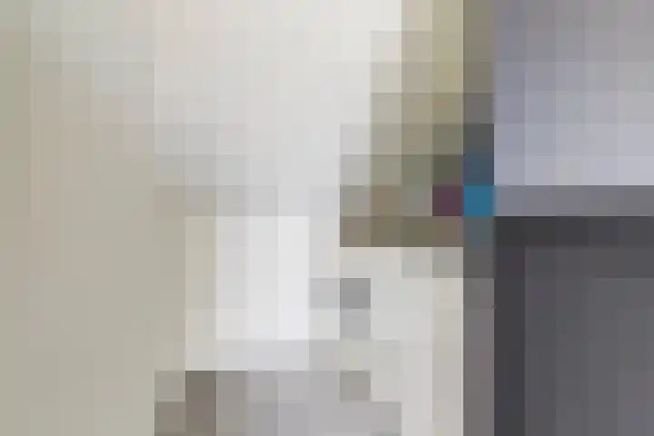 Finlandstraat 13 De Lier thumbnail 31