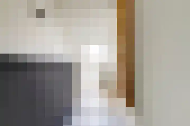 Finlandstraat 13 De Lier thumbnail 32