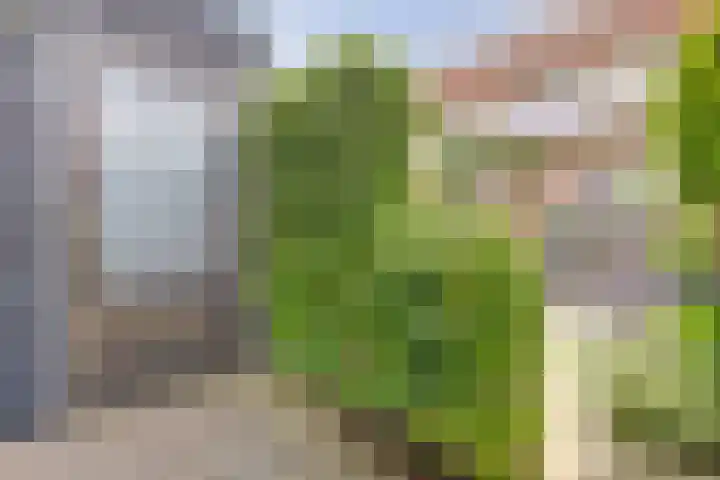Finlandstraat 13 De Lier thumbnail 37