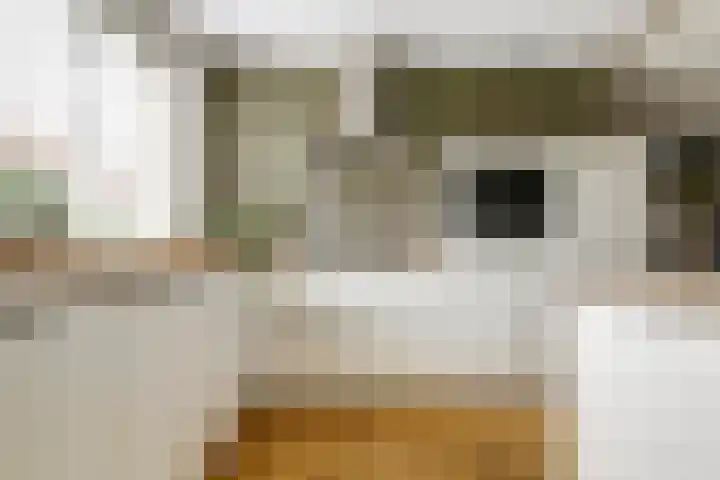 Finlandstraat 13 De Lier thumbnail 5