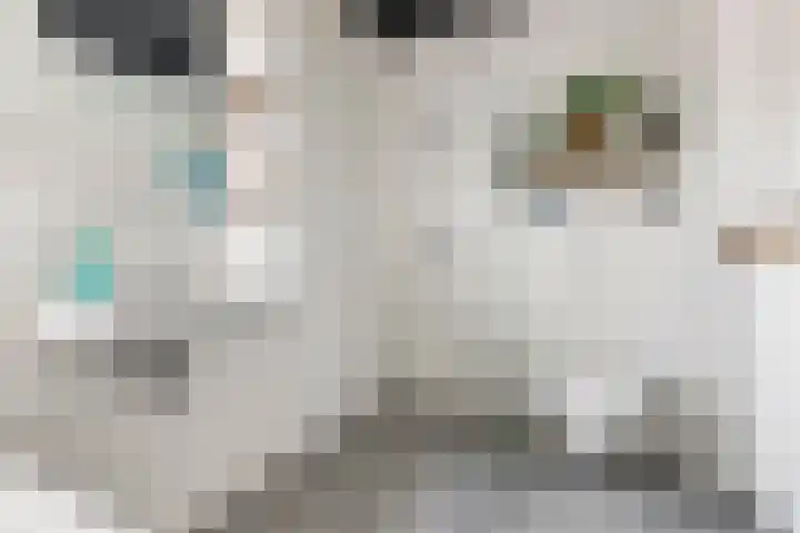 Finlandstraat 13 De Lier thumbnail 6