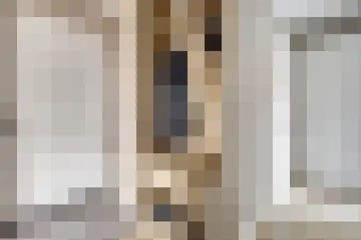 Finlandstraat 20 De Lier thumbnail 10