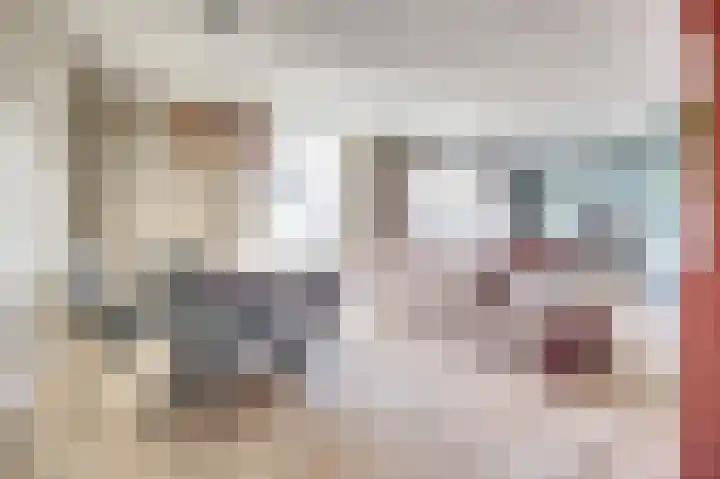 Finlandstraat 20 De Lier thumbnail 18