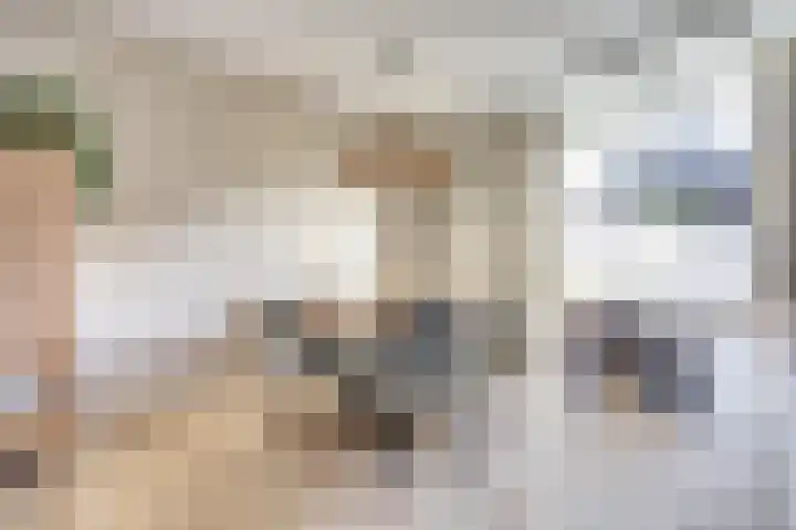 Finlandstraat 20 De Lier thumbnail 19