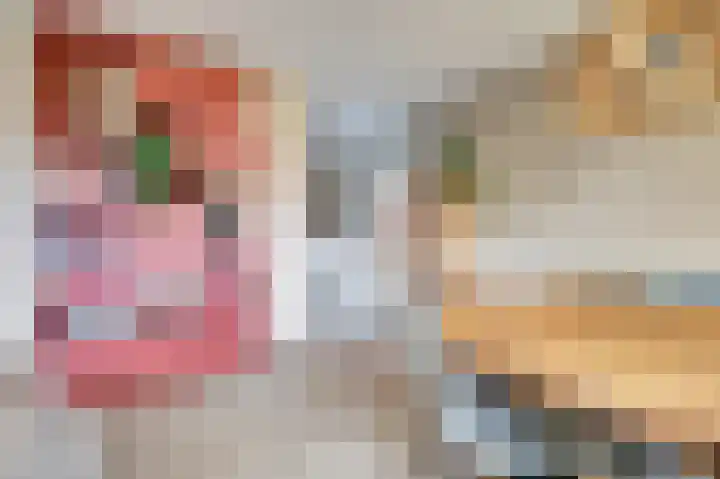 Finlandstraat 20 De Lier thumbnail 20