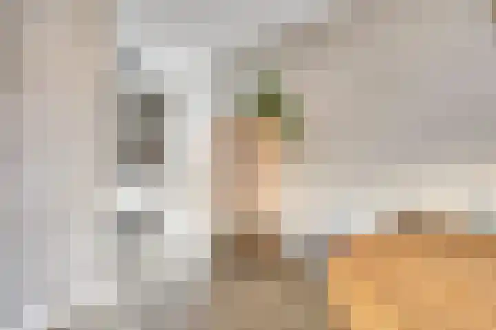 Finlandstraat 20 De Lier thumbnail 21