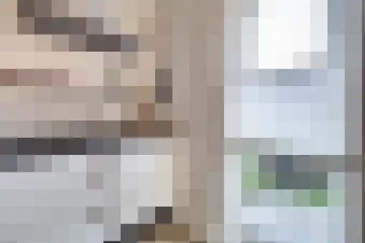 Finlandstraat 20 De Lier thumbnail 24