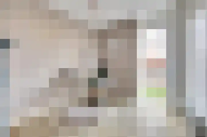 Finlandstraat 20 De Lier thumbnail 30