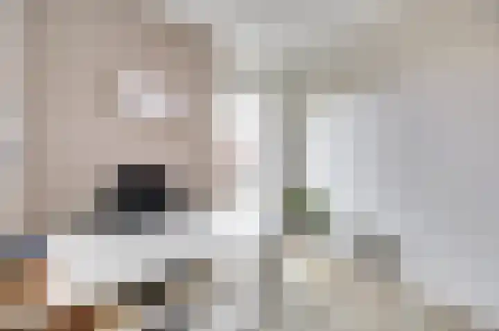 Finlandstraat 20 De Lier thumbnail 31