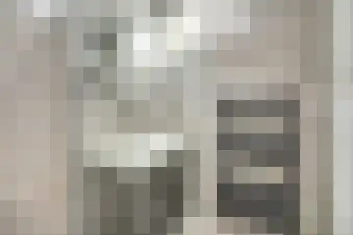 Finlandstraat 20 De Lier thumbnail 33