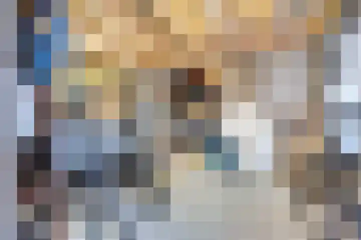 Finlandstraat 20 De Lier thumbnail 35