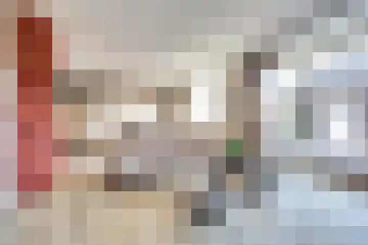 Finlandstraat 20 De Lier thumbnail 4