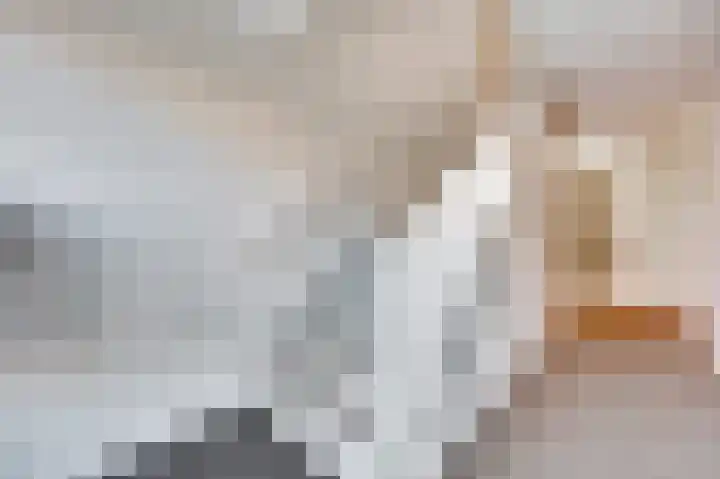 Finlandstraat 20 De Lier thumbnail 8