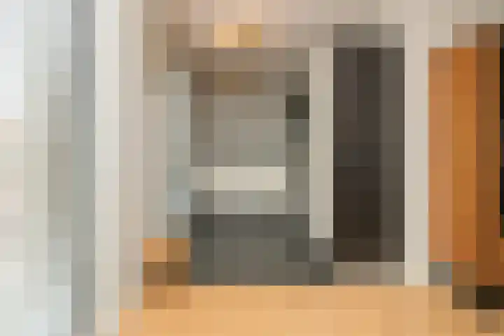 Finlandstraat 22 De Lier thumbnail 12