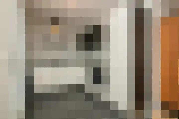 Finlandstraat 22 De Lier thumbnail 13