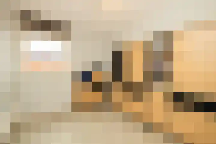 Finlandstraat 22 De Lier thumbnail 27