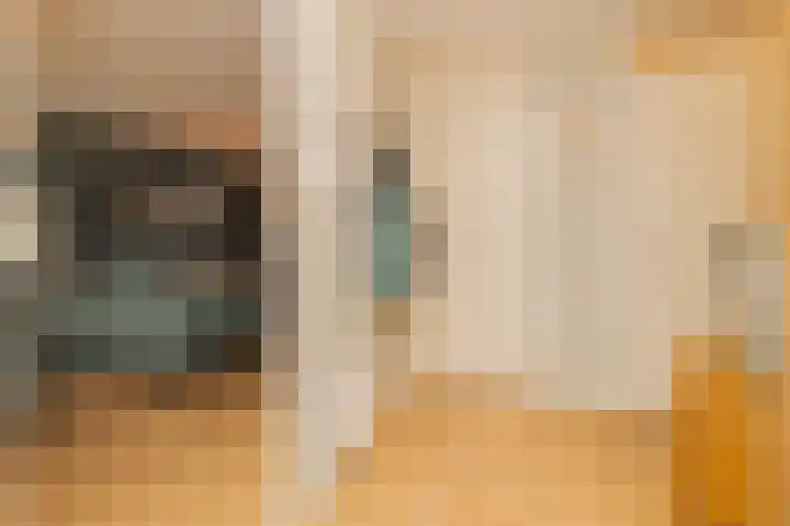 Finlandstraat 22 De Lier thumbnail 5