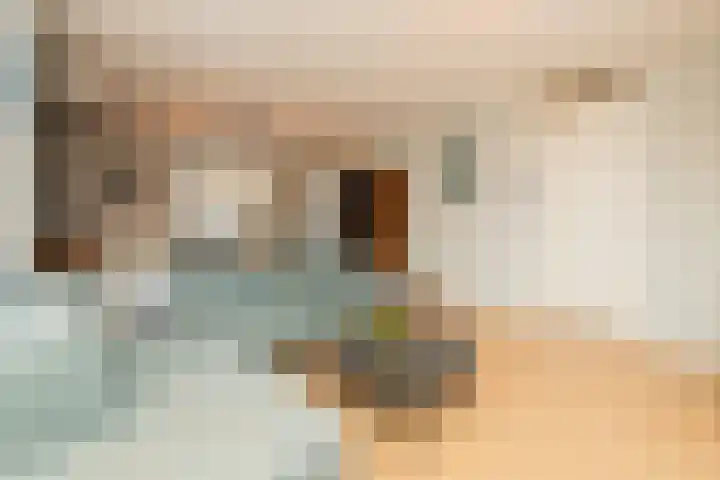 Finlandstraat 22 De Lier thumbnail 8