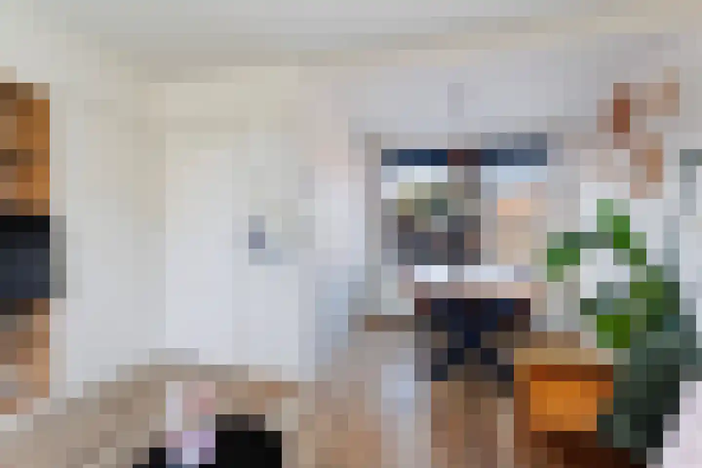 Finne 14 Hallum thumbnail 12