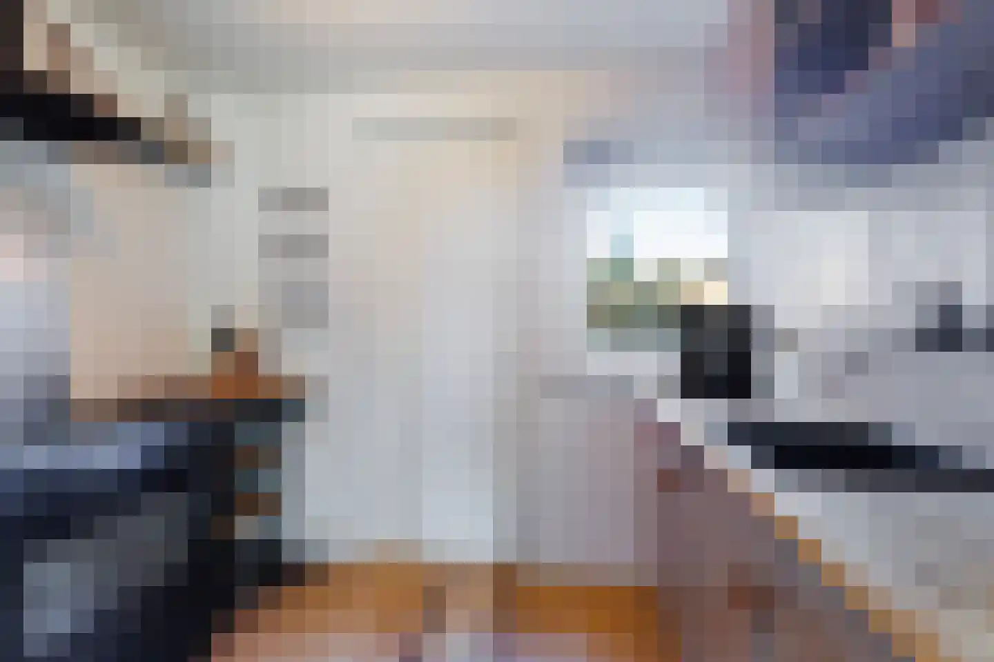 Finne 14 Hallum thumbnail 14