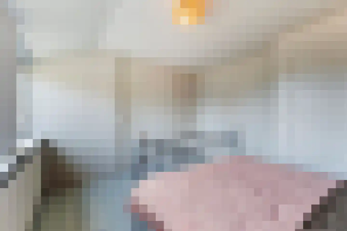 Finne 14 Hallum thumbnail 20
