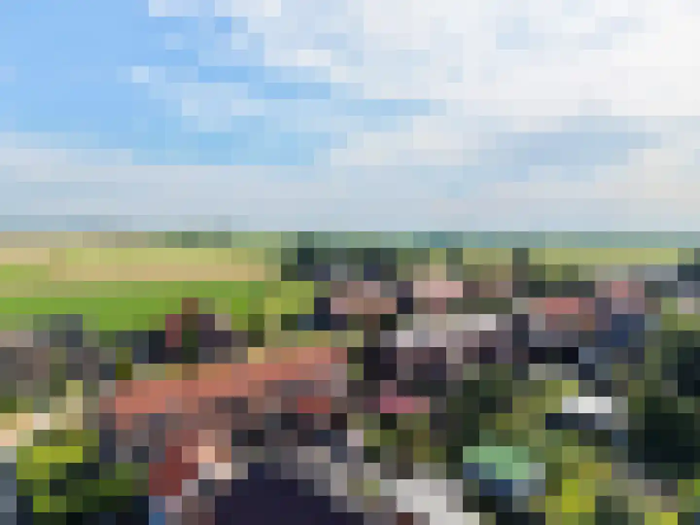 Finne 14 Hallum thumbnail 39