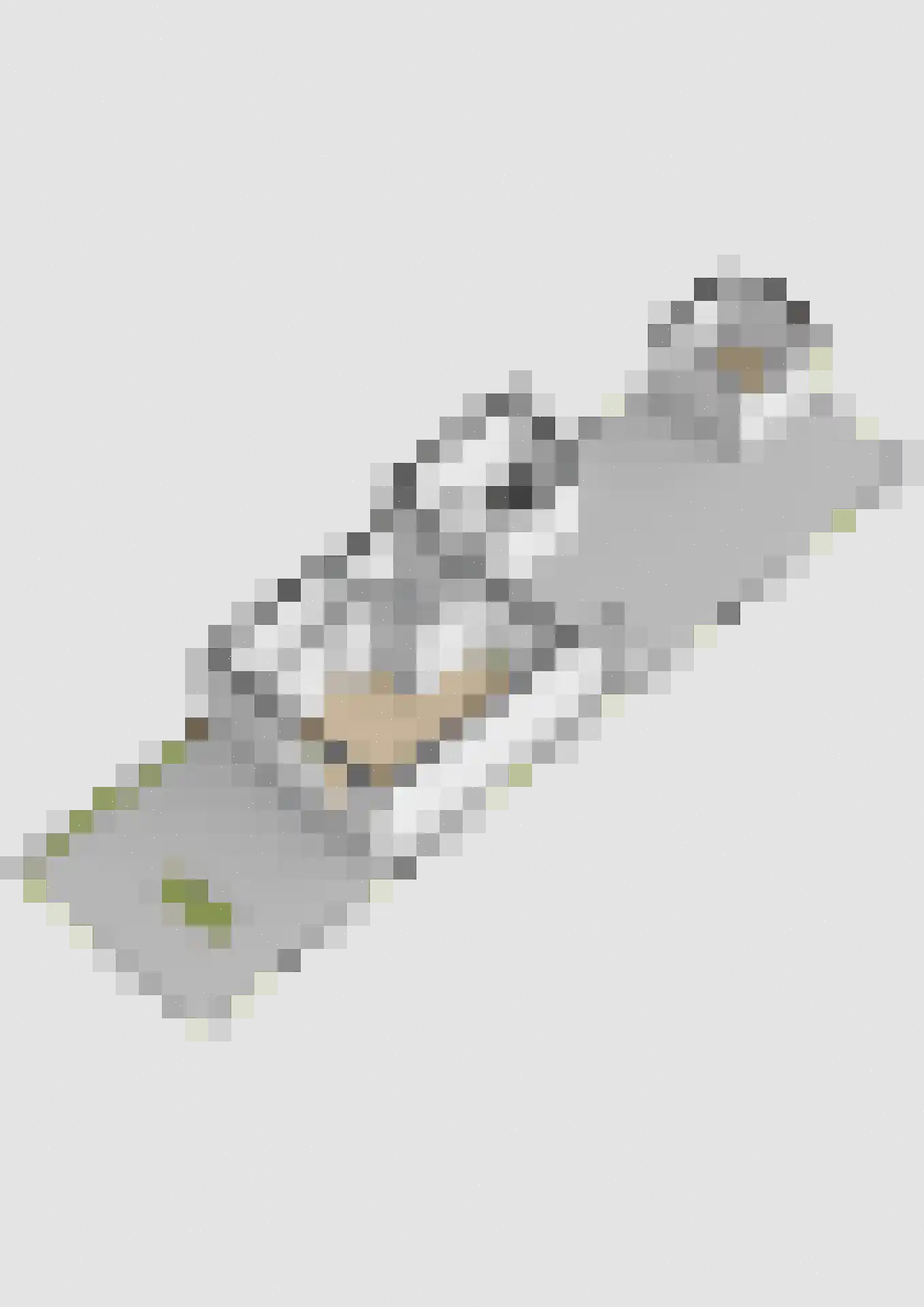 Finne 14 Hallum thumbnail 43