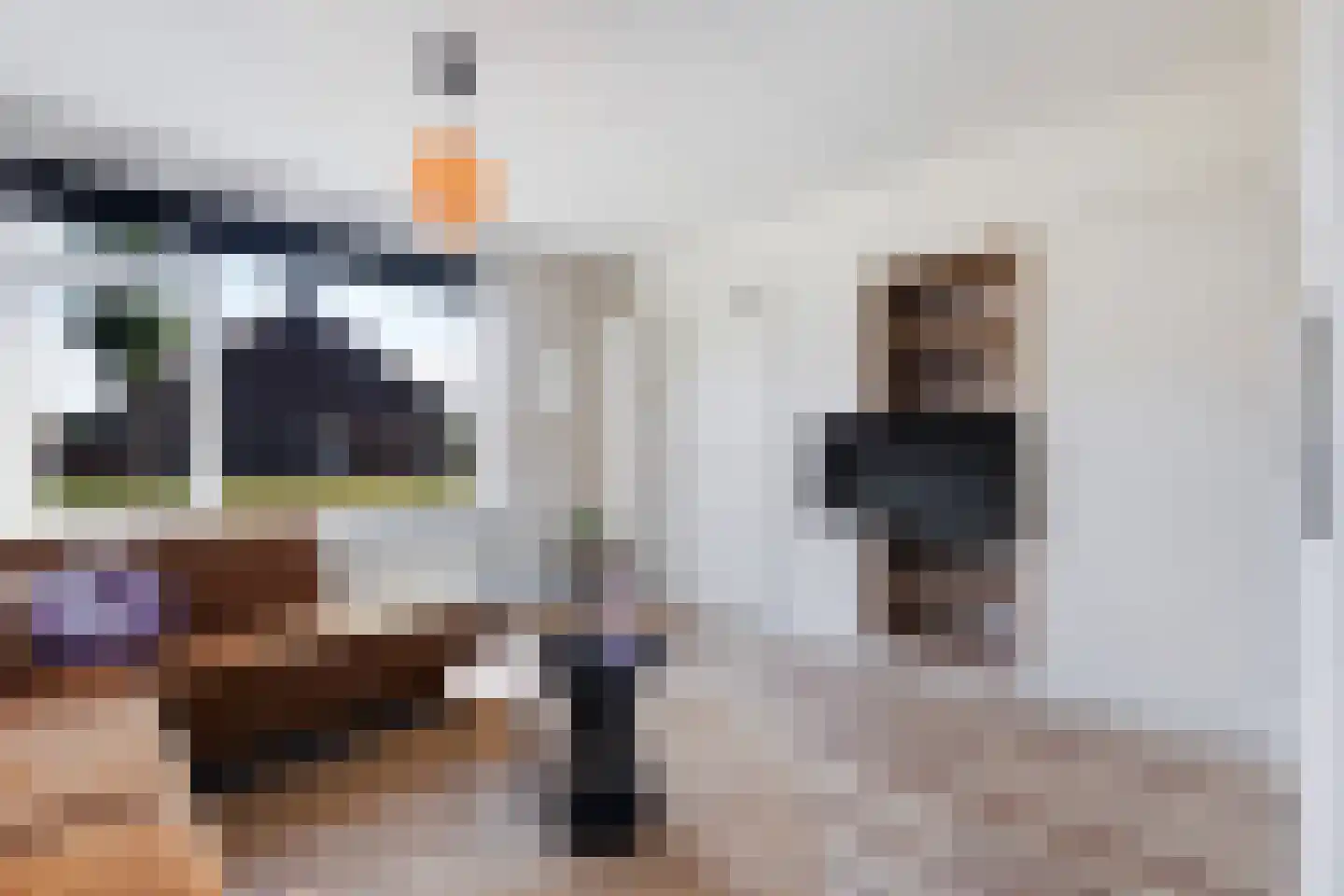 Finne 14 Hallum thumbnail 6