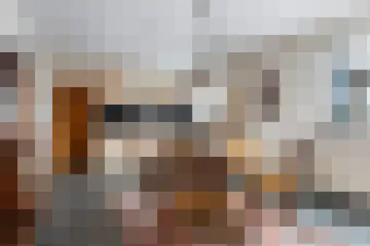 Finne 16 Britsum thumbnail 11