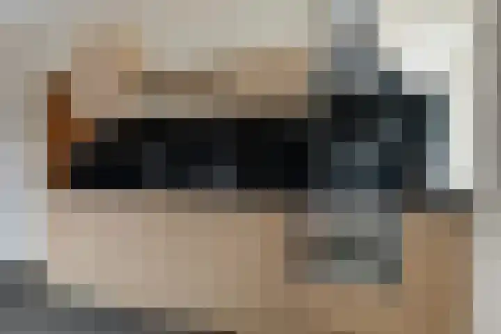 Finne 16 Britsum thumbnail 12