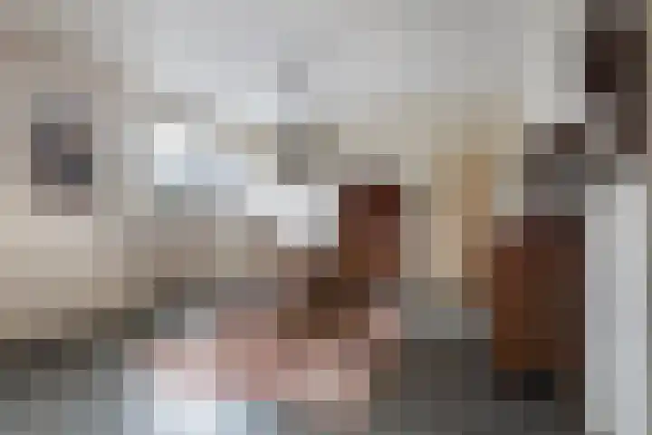 Finne 16 Britsum thumbnail 14
