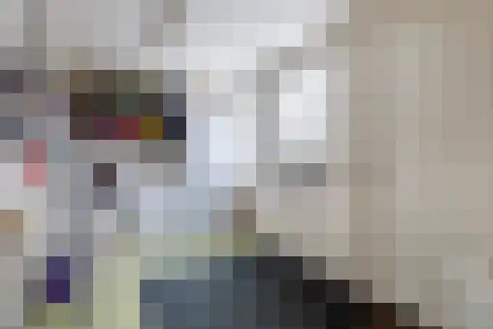 Finne 16 Britsum thumbnail 16