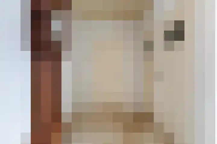 Finne 16 Britsum thumbnail 18
