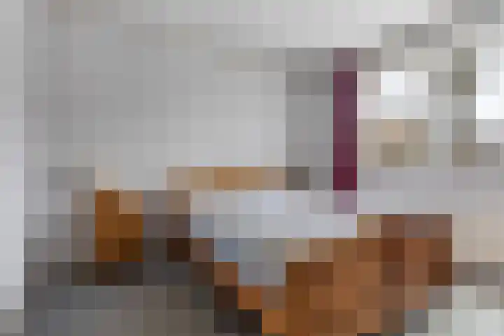 Finne 16 Britsum thumbnail 19
