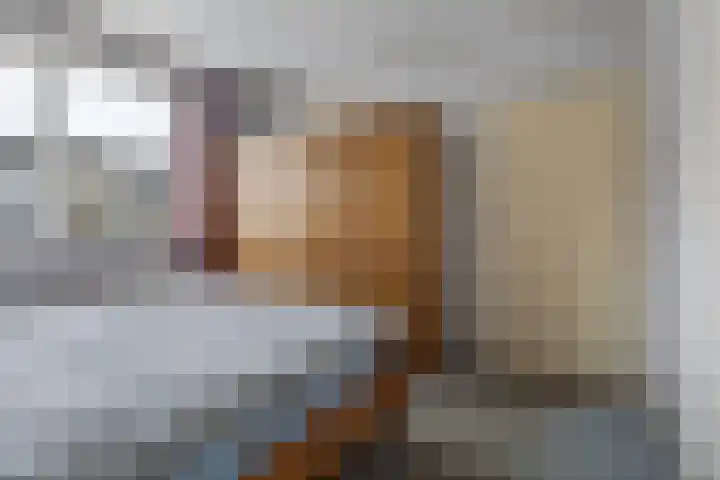 Finne 16 Britsum thumbnail 20