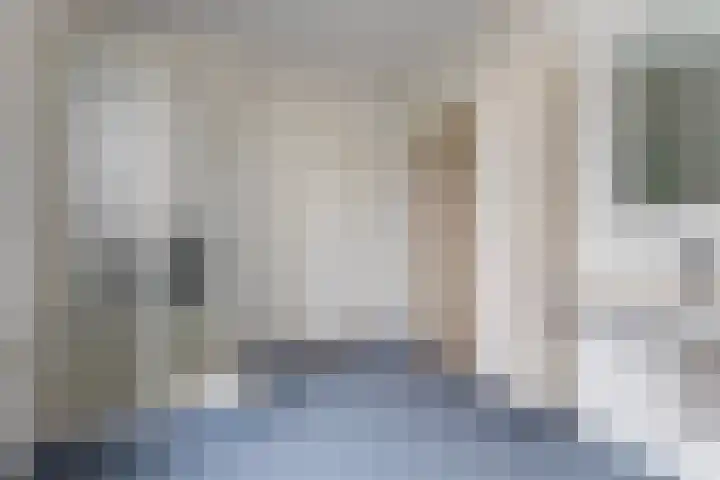 Finne 16 Britsum thumbnail 25
