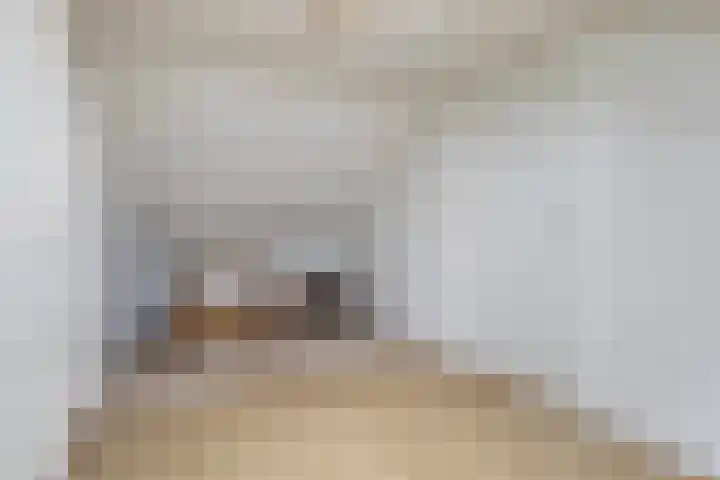 Finne 16 Britsum thumbnail 27