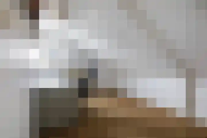 Finne 16 Britsum thumbnail 29