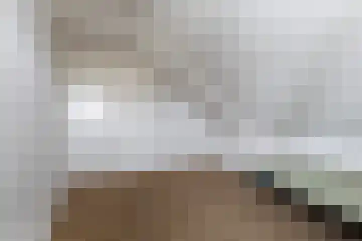 Finne 16 Britsum thumbnail 32