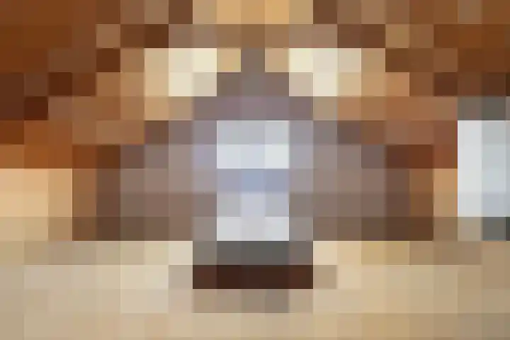 Finne 16 Britsum thumbnail 35