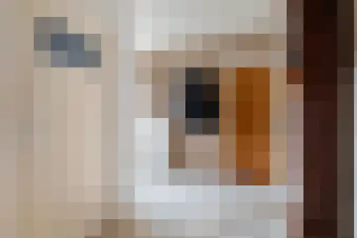 Finne 16 Britsum thumbnail 4