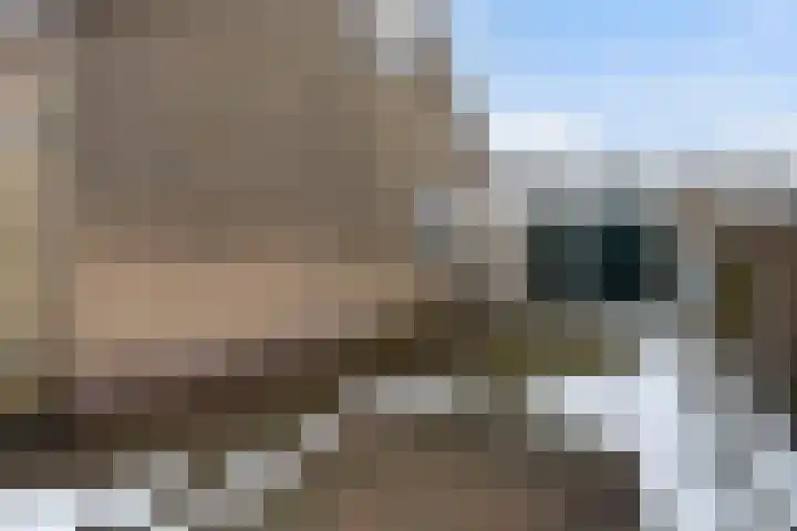 Finne 16 Britsum thumbnail 40