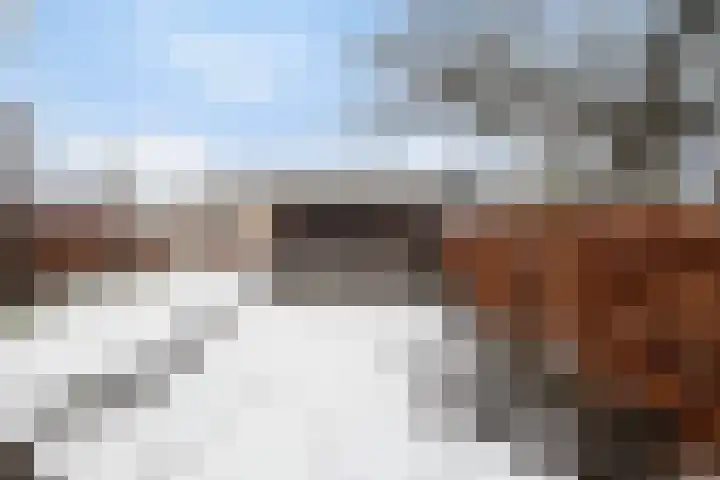 Finne 16 Britsum thumbnail 45