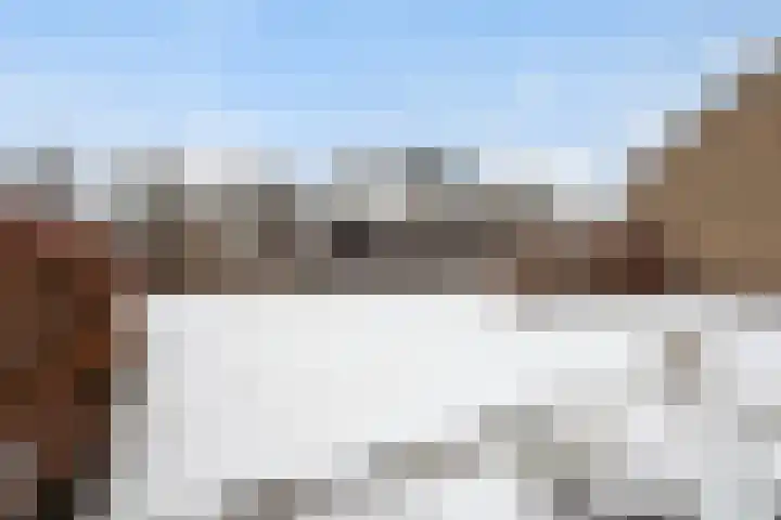 Finne 16 Britsum thumbnail 46