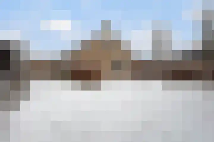 Finne 16 Britsum thumbnail 49