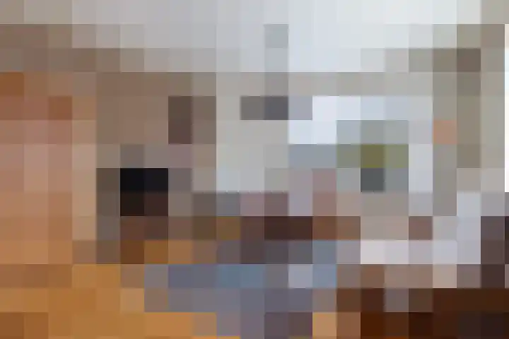 Finne 16 Britsum thumbnail 5
