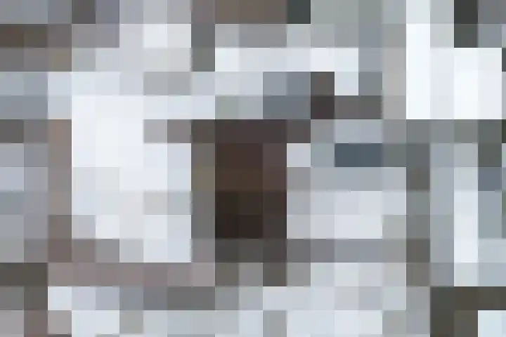 Finne 16 Britsum thumbnail 50