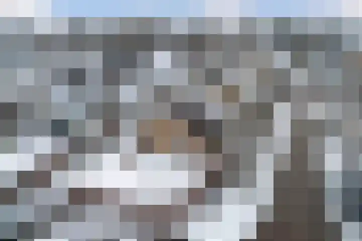 Finne 16 Britsum thumbnail 51