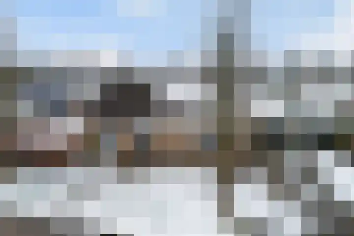 Finne 16 Britsum thumbnail 53